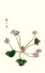 photo32_small.jpg