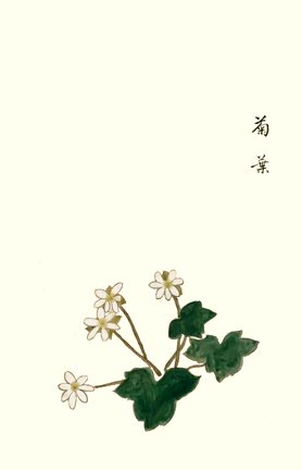 photo33.jpg