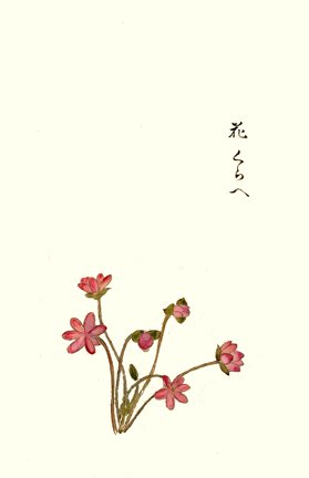 photo34.jpg