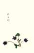 photo37_small.jpg