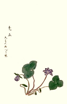 photo38.jpg