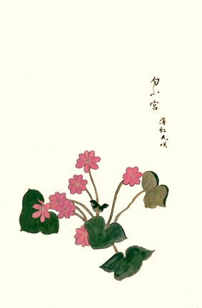 photo48.jpg