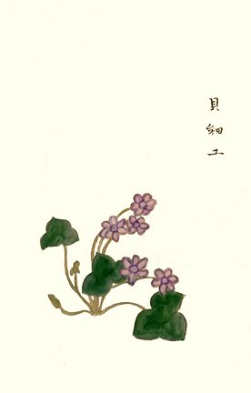 photo49.jpg