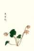 photo50_small.jpg