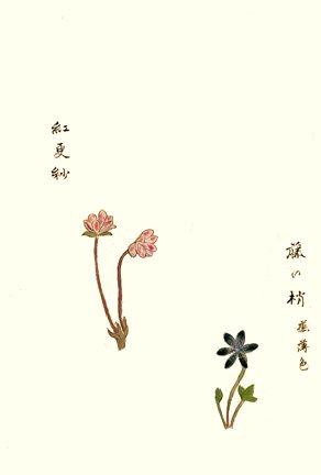 photo57.jpg