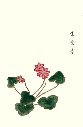 photo7.jpg