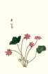 photo9_small.jpg