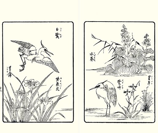 photo10.jpg
