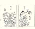 photo11_small.jpg