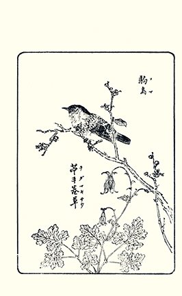 photo14.jpg