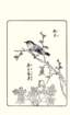 photo14_small.jpg
