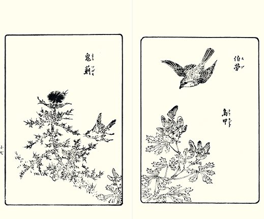 photo16.jpg