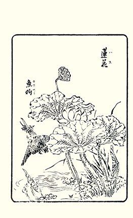 photo21.jpg