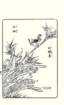 photo22_small.jpg