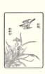 photo9_small.jpg