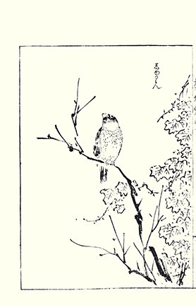 photo14.jpg