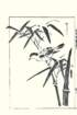 photo16_small.jpg