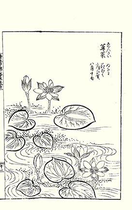 photo17.jpg
