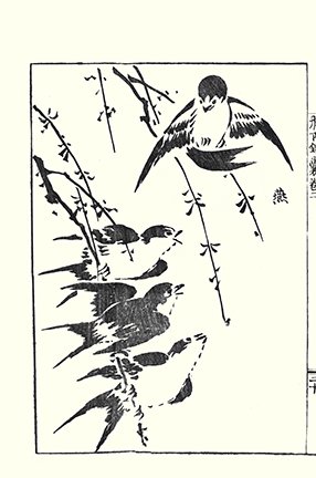 photo22.jpg