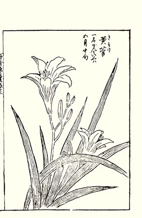 photo23.jpg