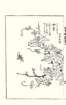 photo25_small.jpg