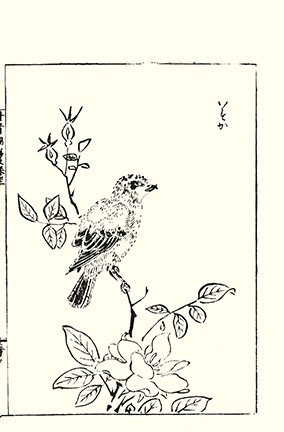 photo26.jpg