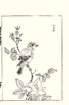 photo26_small.jpg
