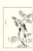 photo27_small.jpg