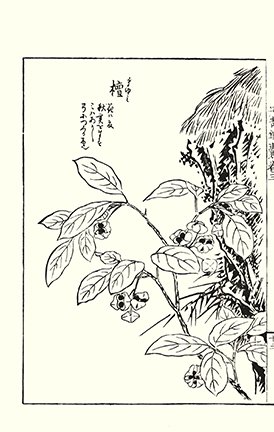 photo32.jpg