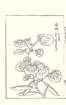photo35_small.jpg
