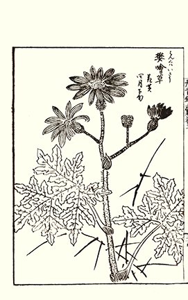photo39.jpg