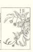photo43_small.jpg