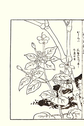 photo45.jpg