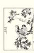 photo51_small.jpg