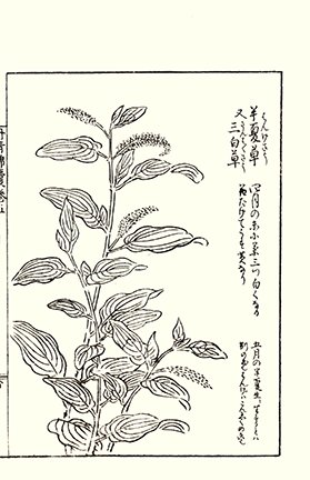 photo52.jpg
