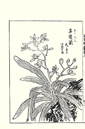 photo59.jpg