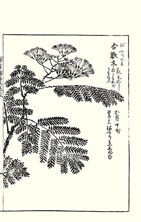 photo15.jpg