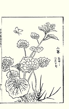 photo9.jpg