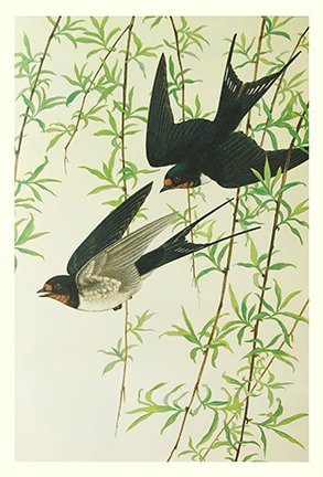 photo24.jpg