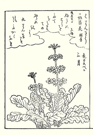 photo15.jpg