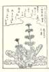 photo15_small.jpg