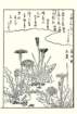photo16_small.jpg