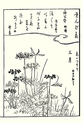 photo18.jpg