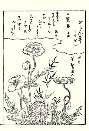 photo24.jpg