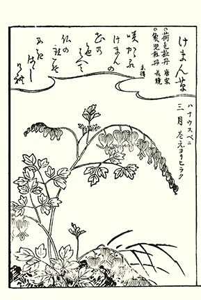 photo25.jpg