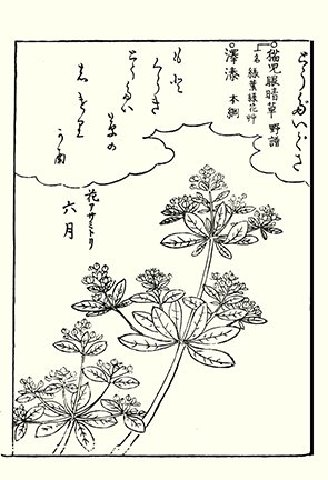 photo34.jpg