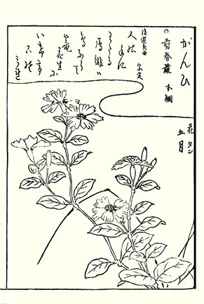 photo36.jpg