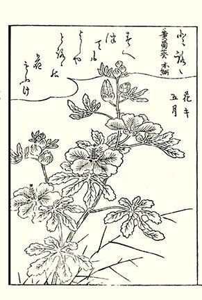 photo39.jpg