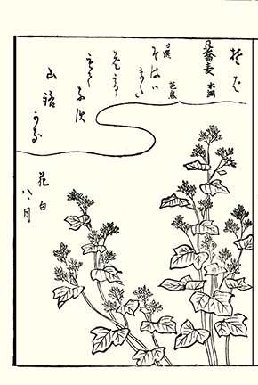 photo43.jpg