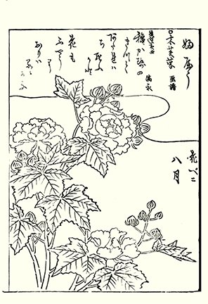 photo44.jpg